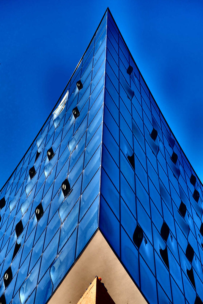 DSCF0375.JPG